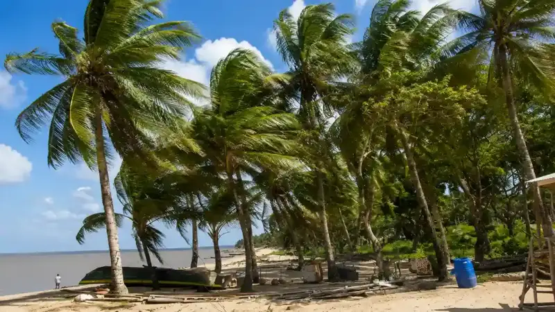 Galibi zeeschildpadden & Frans Guyana